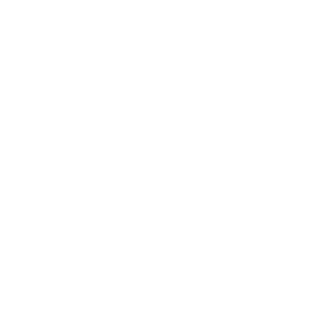 Weißes LinkedIn Logo
